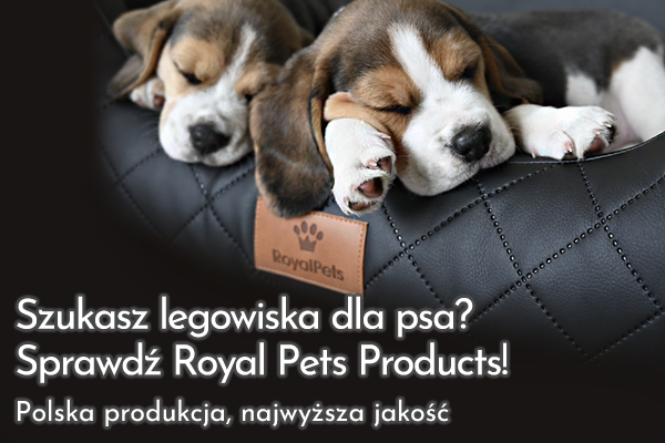 royalpetsproducs.pl | Royal Pets Products | luksusowe legowiska dla psów